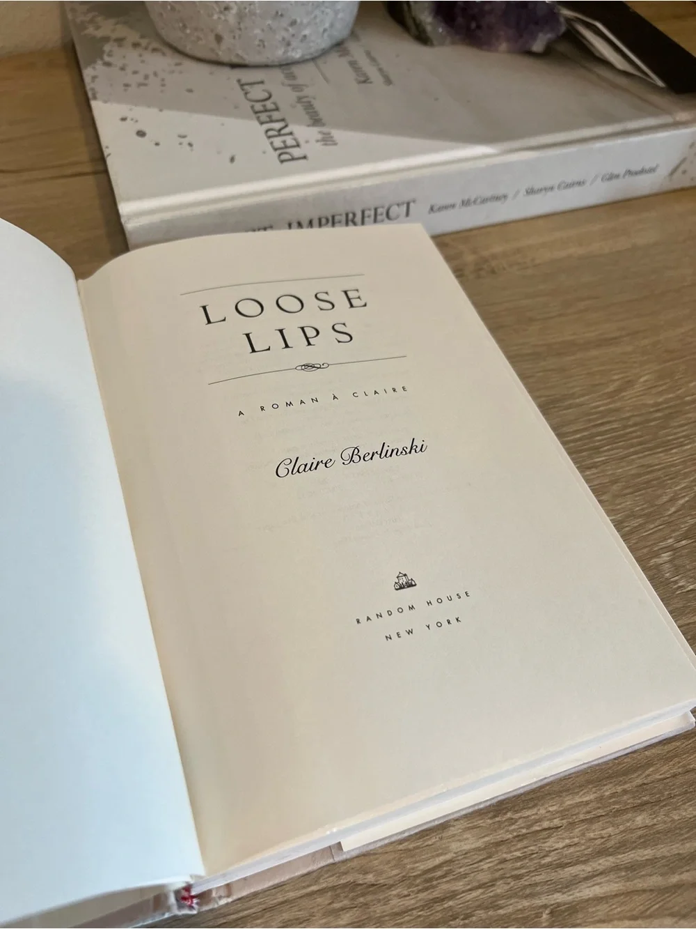 Loose Lips Claire Berlinski Hardcover 2003 First Edition CIA Fiction Novel